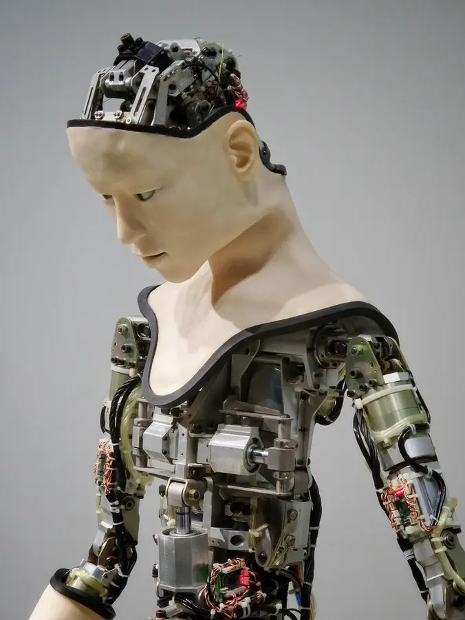 Best Machine Learning Curriculum for Beginners - Level 101