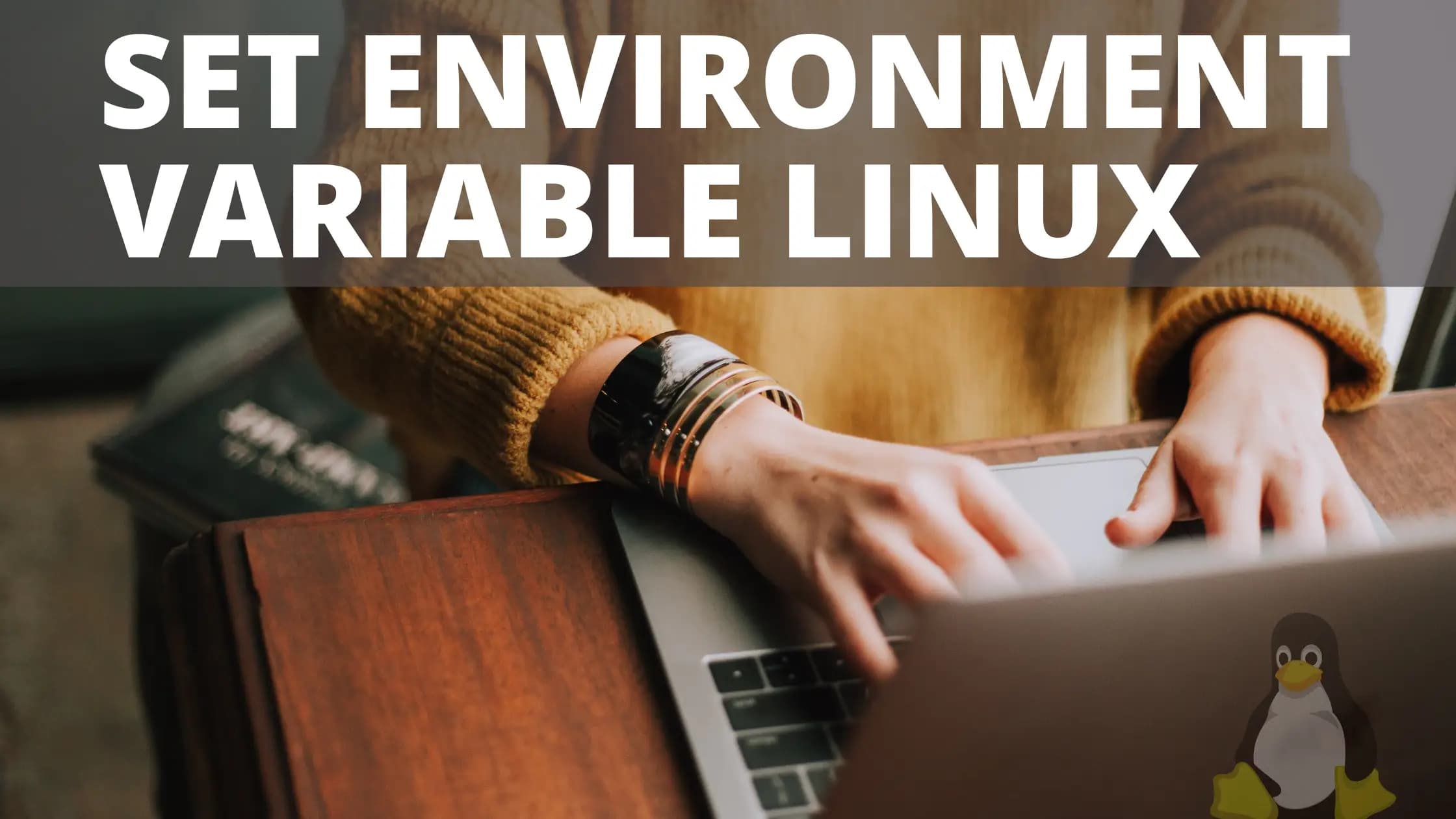 How to Set Environment Variables in Linux Permanently